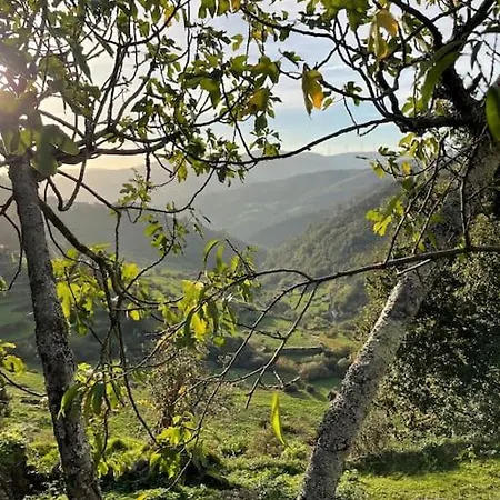 Casa Do Moura * ארקוס דה ואלדבז