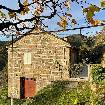 Дом отдыха Casa Do Moura