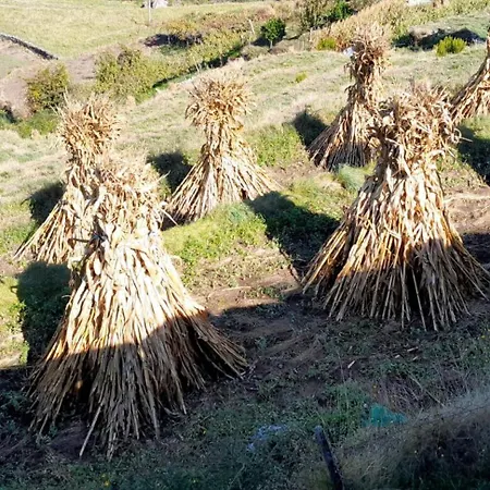 Casa Do Moura Аркуш-ди-Валдевеш