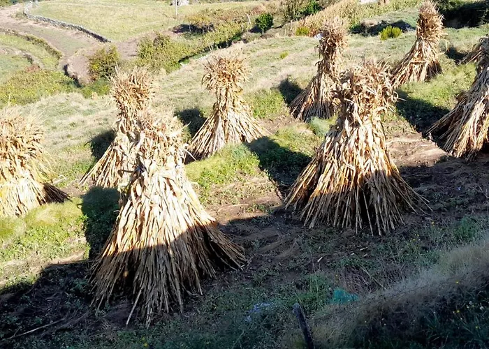 Casa Do Moura Arcos de Valdevez